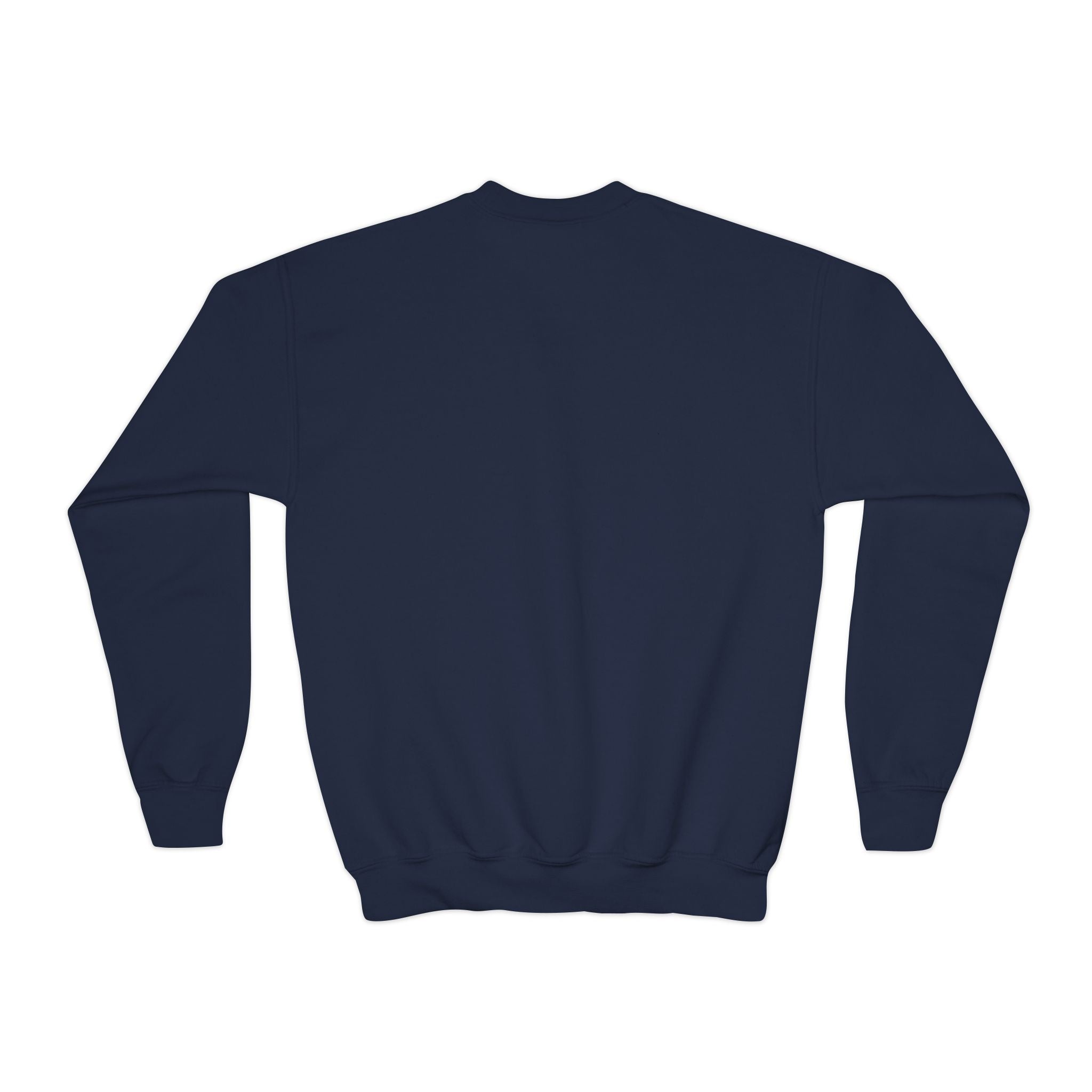 1 in 100 Hearts Youth Crewneck Sweatshirt – CHD warrior