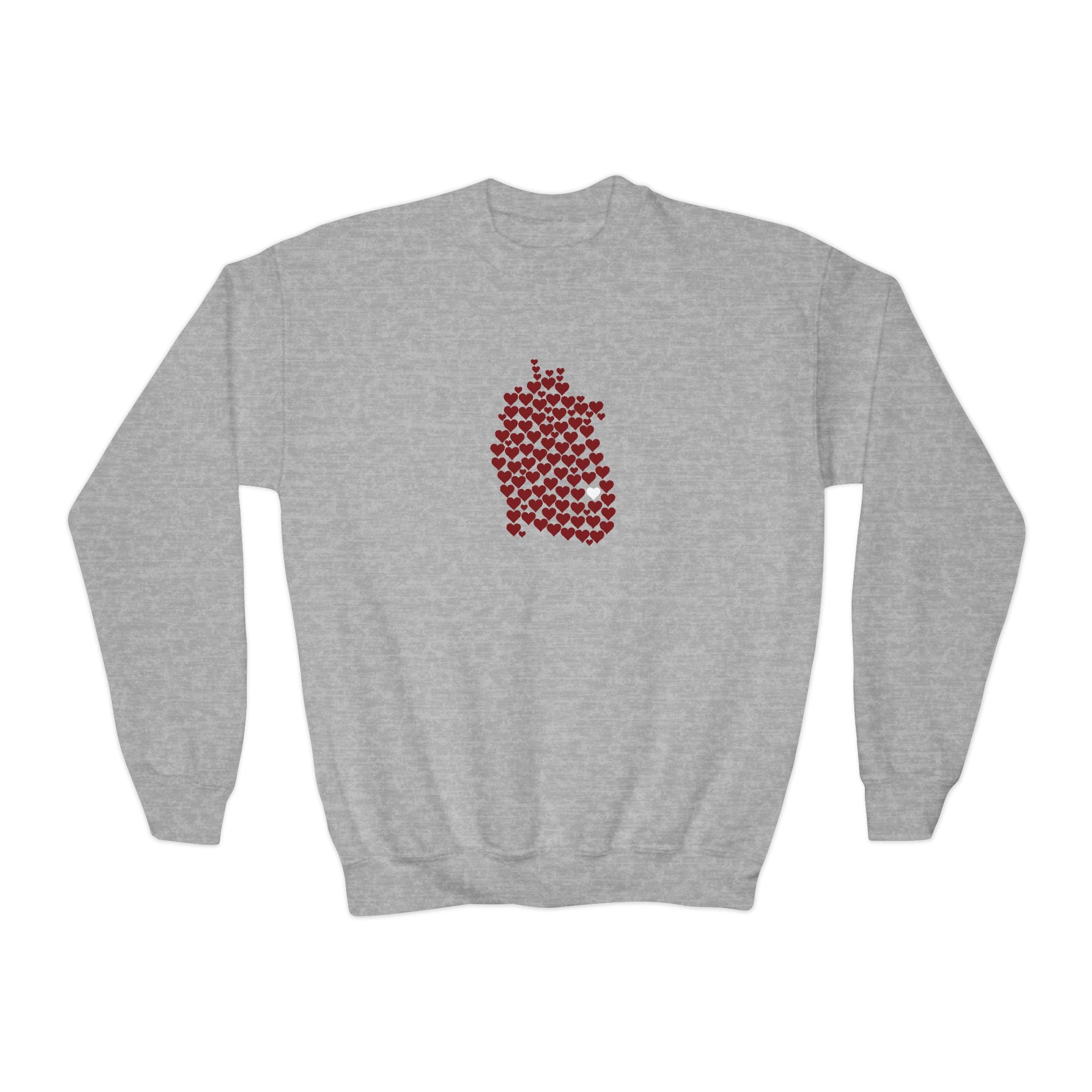 1 in 100 Hearts Youth Crewneck Sweatshirt – CHD warrior